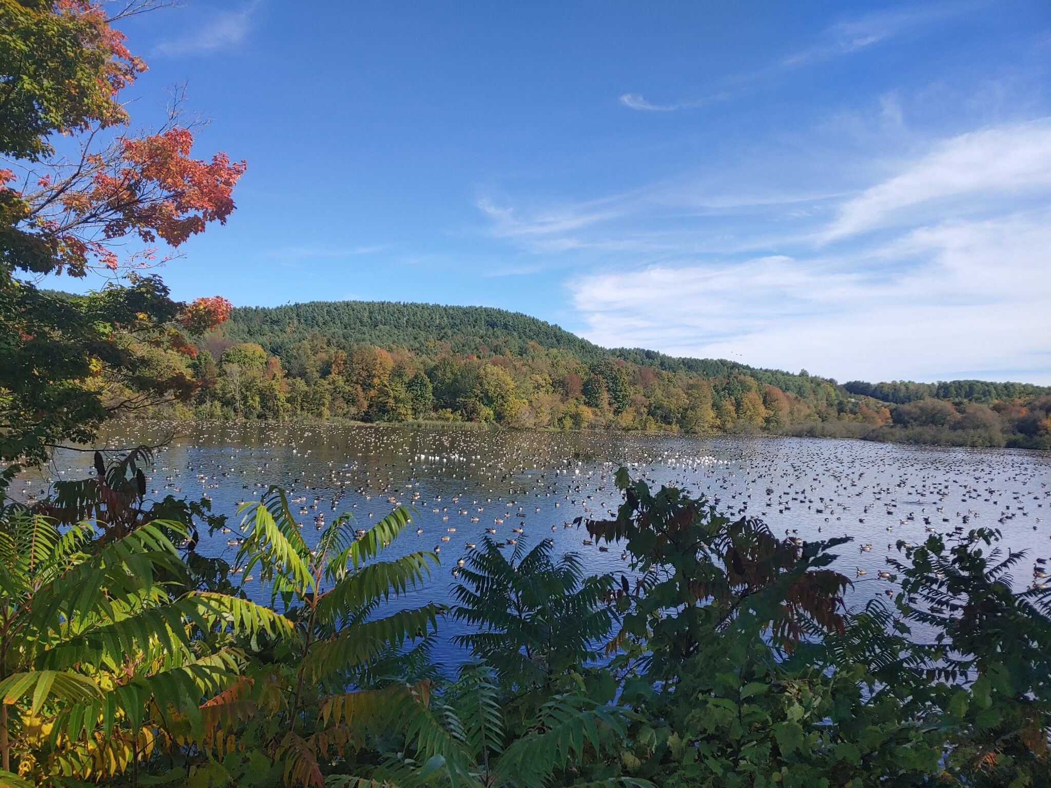 Franklin County Soil & Water Conservation District Providing Today